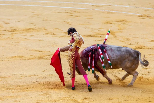 Toureiro em uma arena de touradas lutando contra um touro de luta fatalmente ferido. — Fotografia de Stock