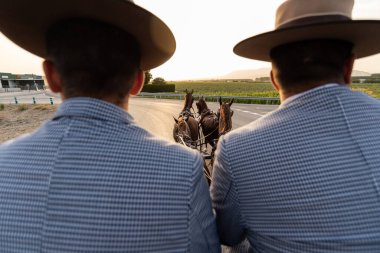 İki tanınmayan adam kırsal yolda at arabası kullanıyor...
