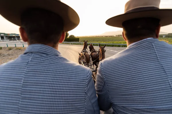 İki tanınmayan adam kırsal yolda at arabası kullanıyor...