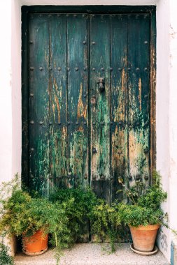 Evin ön cephesinde bitkiler olan eski bir ahşap pencere perdesinin yakın görüntüsü.