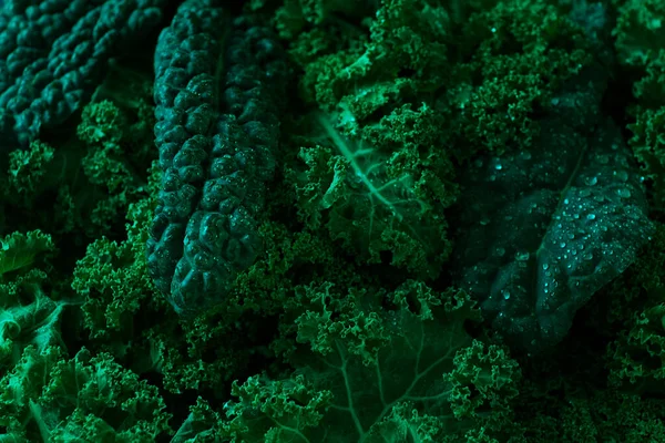 Nahrungsmittel Hintergrund Frische Grünkohlblätter Nahaufnahme Senkrecht Keine Menschen Getönt Selektiver — Stockfoto