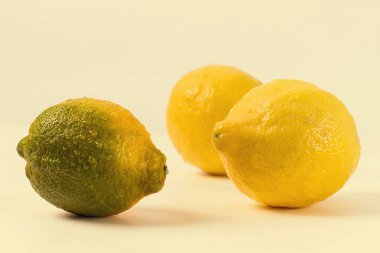 Taze limonlar, yakın plan, beyaz arka plan, yatay, insan yok, seçici odak, tonlu görüntü.