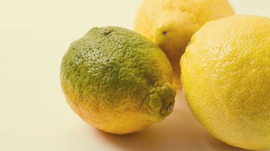 Taze limonlar, yakın plan, beyaz arka plan, yatay, insan yok, seçici odak, tonlu görüntü.