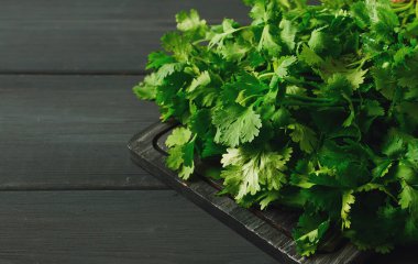 Bir grup taze Cilantro, gri ahşap bir masada, yakın plan, üst manzara, insan yok..