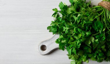 Bir grup taze Cilantro, beyaz ahşap bir masada, yakın plan, üst manzara, insan yok..