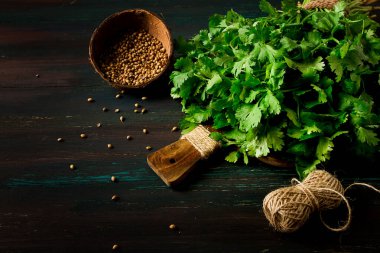 Bir sürü taze Cilantro, kişniş tohumu, koyu ahşap bir masada, yakın plan, üst manzara, insan yok. Yiyecek ve içecek.,