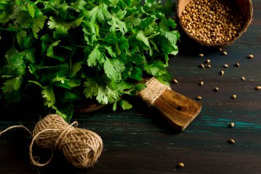 Bir sürü taze Cilantro, kişniş tohumu, koyu ahşap bir masada, yakın plan, üst manzara, insan yok. Yiyecek ve içecek.,