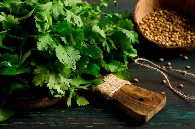 Bir sürü taze Cilantro, kişniş tohumu, koyu ahşap bir masada, yakın plan, üst manzara, insan yok. Yiyecek ve içecek.,
