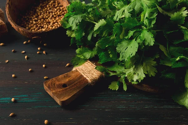 bunch of fresh Cilantro, coriander seeds, on a dark wooden table, close-up, top view, no people. food and drink,