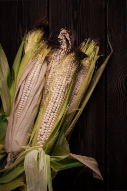 Mısır koçanları, ahşap bir masa, üst görünüm, yakın çekim, kırsal, seçici odak, süt ürünü mısır,