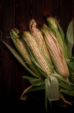 Mısır koçanları, ahşap bir masa, üst görünüm, yakın çekim, kırsal, seçici odak, süt ürünü mısır,