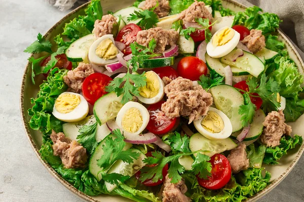 Tuna Salad Vegetable Salad Quail Eggs Lettuce Red Onion Cucumbers — Zdjęcie stockowe