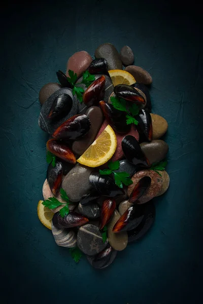 Fresh Mussels Rocks Top View Food Concept Selective Focus Seafood — Φωτογραφία Αρχείου