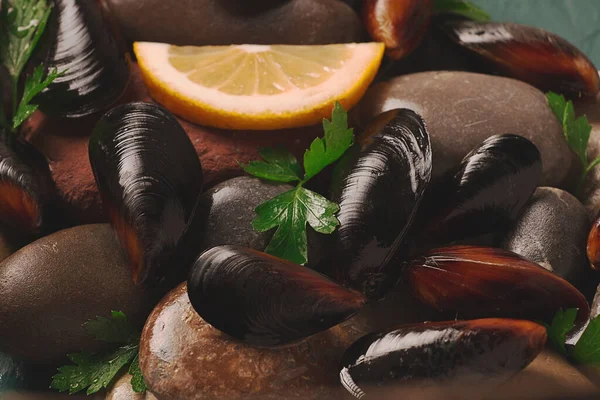 Fresh mussels, on rocks, top view, food concept, selective focus, seafood, no people,