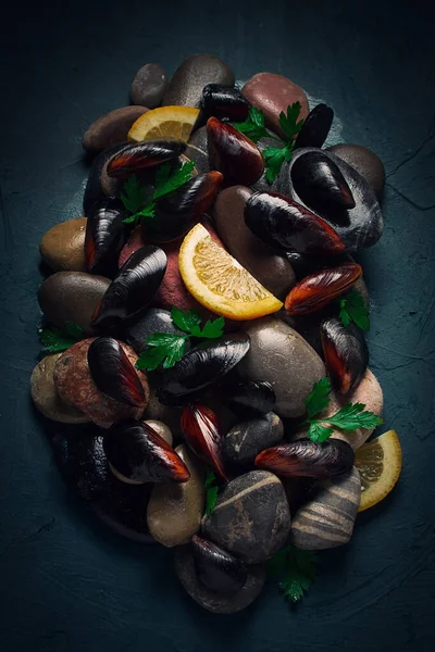 Fresh mussels, on rocks, top view, food concept, selective focus, seafood, no people,