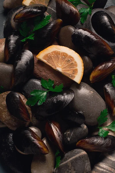 Fresh mussels, on rocks, top view, food concept, selective focus, seafood, no people,