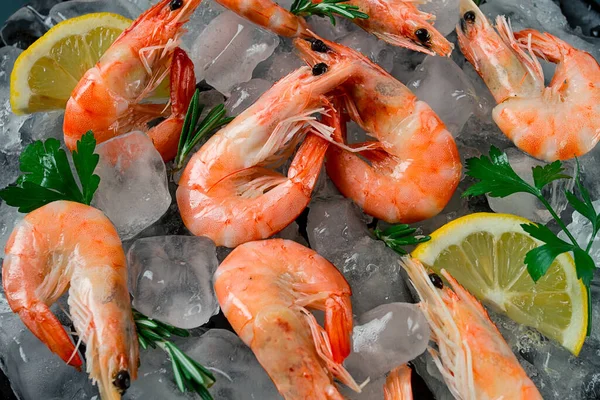 King Shrimps Undivided Boiled Frozen Ice Top View Selective Focus — ストック写真