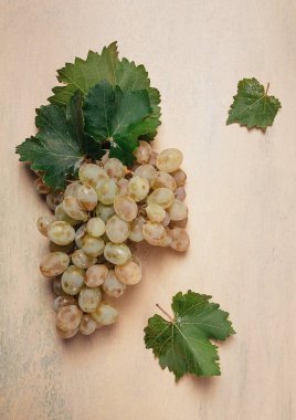 Yapraklı beyaz üzümlerden oluşan bir dal, masanın üstünde, en üstte, yakın plan, insan yok.,