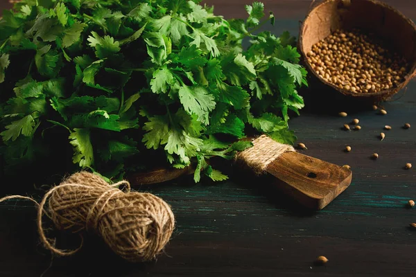 bunch of fresh Cilantro, coriander seeds, on a dark wooden table, close-up, top view, no people. food and drink,