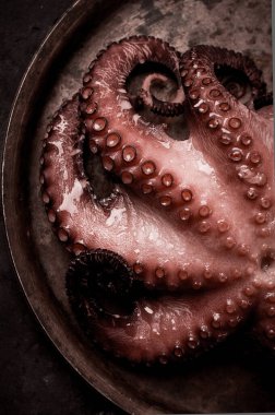 Haşlanmış ahtapot, yakın plan, köy tarzı, insan yok, üst manzara, yakın plan.,