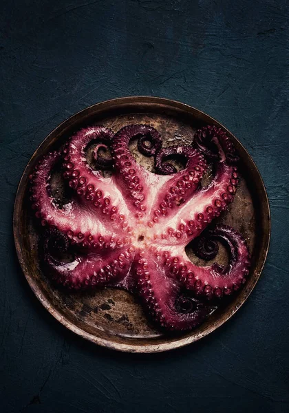 Vařená Chobotnice Detailní Záběr Rustikální Styl Bez Lidí Výhled Shora — Stock fotografie