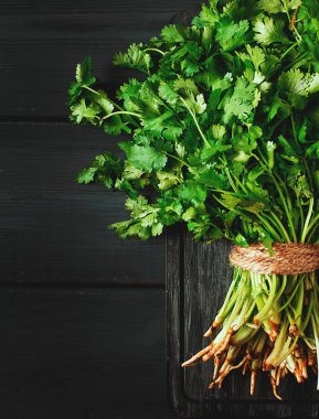 Bir grup taze Cilantro, gri ahşap bir masada, yakın plan, üst manzara, insan yok..