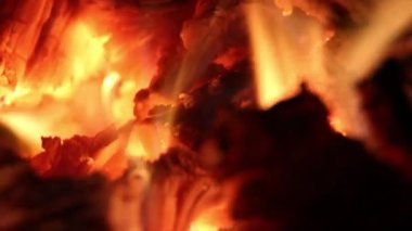 Ağaçta yanan bir ateşin yakın çekimi. Bir ağacın alevleri, yanan kömürleri..