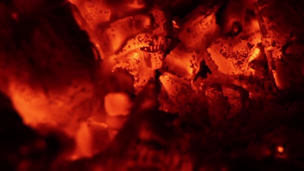 Detailní záběr hořícího ohně na stromě. Detailní záběr plamenů na stromě, hořící uhlíky. — Stock video
