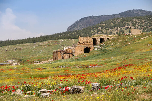 Ruins of the ancient city of Hierapolis, red poppies, Pamukkale, Turkey. Field of wild red poppy flowers.