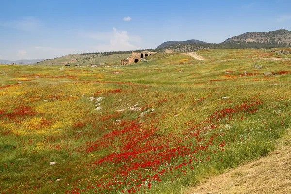 Ruïnes Van Oude Stad Hierapolis Rode Klaprozen Pamukkale Turkije Gebied — Stockfoto