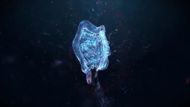 Hologramme Intestins Humains Flux Énergie Style Futuriste — Video