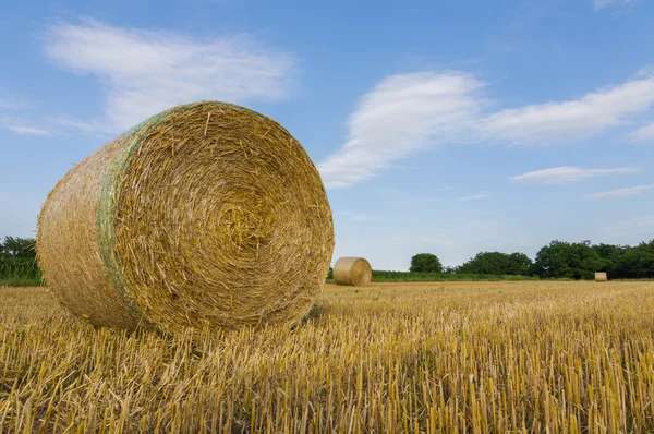 Landscape and hay bale — Stock Photo, Image