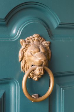 Aslan tokmağı