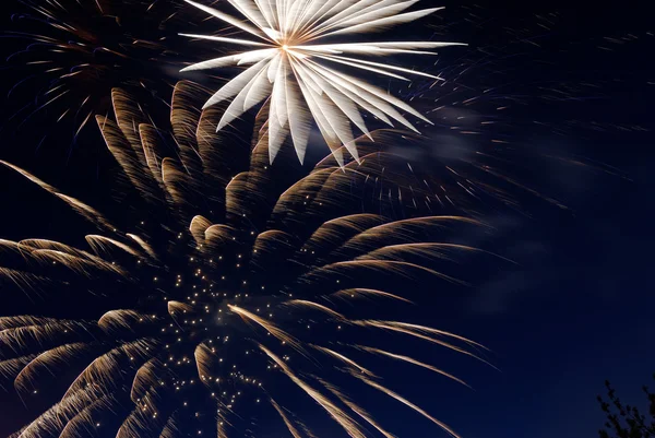 Bright salute during a big holiday — Stock Photo, Image