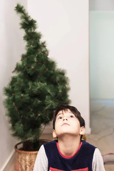 Retrato de uma criança olhando para cima esperando para configurar a árvore de Natal — Fotografia de Stock