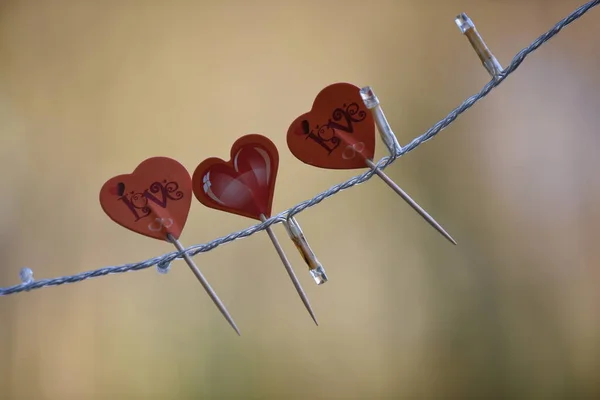Alla hjärtans dag prydnad tre röda hjärtan med fokuserad bakgrund — Stockfoto