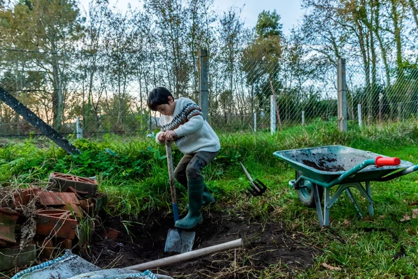 マグノリアの木を植えるための少年の仕事 — ストック写真