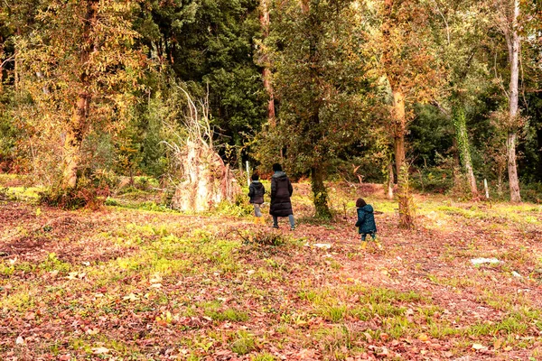Mãe com filho e filha em família caminham de costas para a câmera na floresta — Fotografia de Stock
