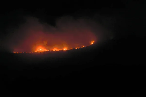 เดอ อาโรซ สเปน งหาคม 2022 ไฟไหม ในกาล เขาท กเผาไหม ในสปอตไลท — ภาพถ่ายสต็อก