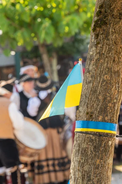 Bandeira Ucraniana Uma Árvore Com Música Galega Tradicional Evento Intercâmbio — Fotografia de Stock