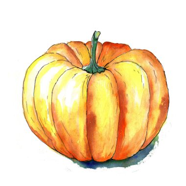 Turuncu sonbahar parlak balkabağı çizimi.