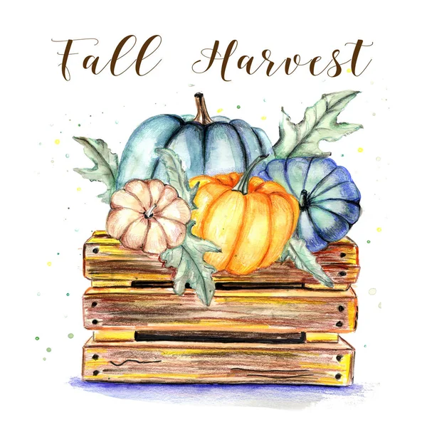 Watercolor card with a box full of pumpkin harvest. — Stock Photo, Image