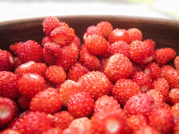 Wild strawberry in an earthenware basin — Stock Photo, Image