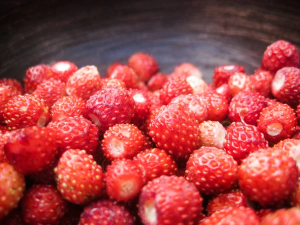 Wild strawberries in an earthenware basin — Stock Photo, Image