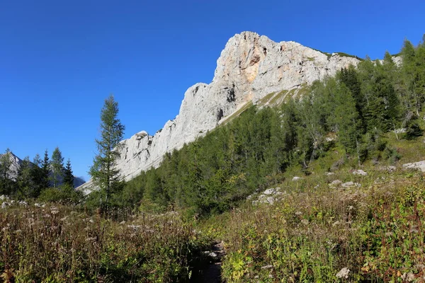 Slovenya 'daki Triglav Ulusal Parkı' ndaki Dağlar ve Çayırlar