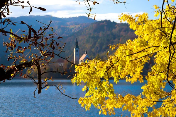 Bled Slovenya Gölü, Güz Bled Gölü, Bled Gölü, Renkli Yapraklar Bled, Bled Slowenien, Bled Church, Jezero Bled, Bledsko Jezero, Bleder See, Kostel Panny Marie Bled, Slovinsko