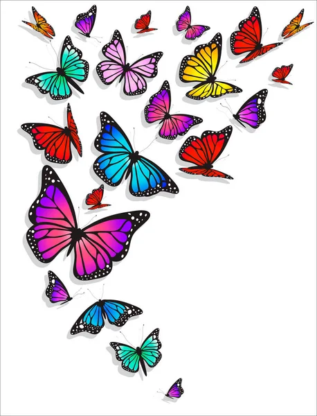 白い背景に孤立した美しいカラフルな蝶 — ストックベクタ