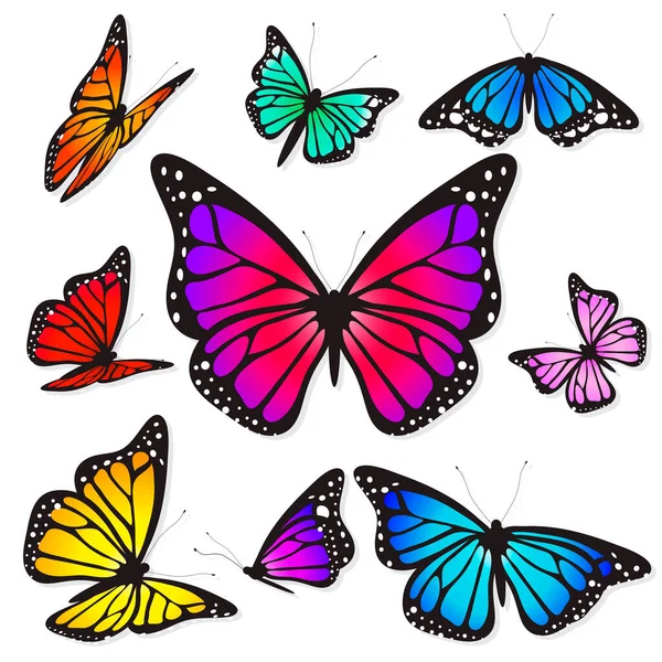 Hermosas Mariposas Coloridas Aisladas Sobre Fondo Blanco — Archivo Imágenes Vectoriales
