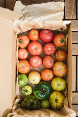 Kutuda farklı renkte organik ev yapımı domatesler var. 