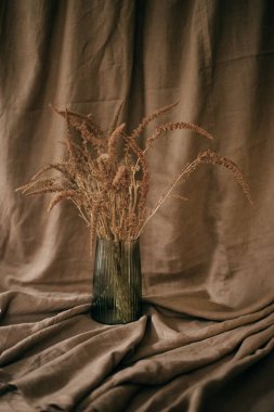 Bir demet mısırlı seramik kahverengi sürahi. Kırsal bir hayatın resmi.